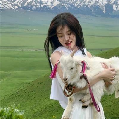 维梅尔:光影大师